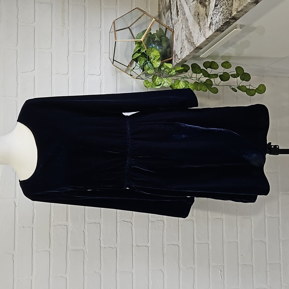 J Crew velvet dress